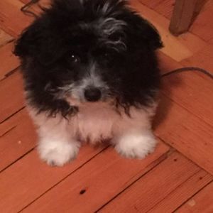 Meet your Posher, Christina